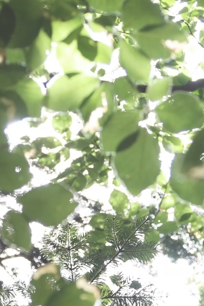 企業道德與永續經營